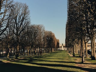 Explore Père Lachaise Cemetery
